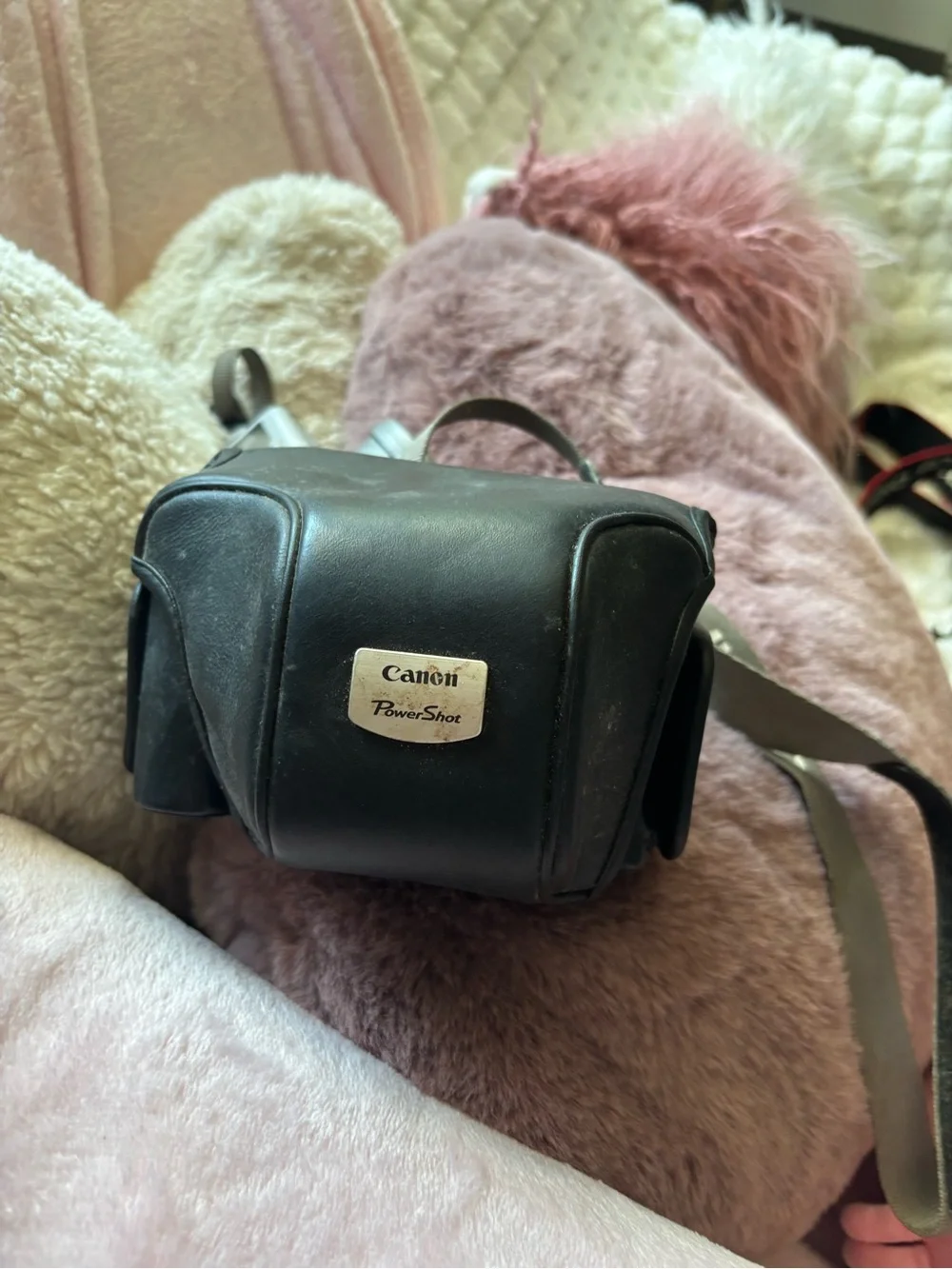 Canon PowerShot G3 Compact Silver and Black Digital Camera